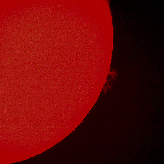 Foto Venustransit
